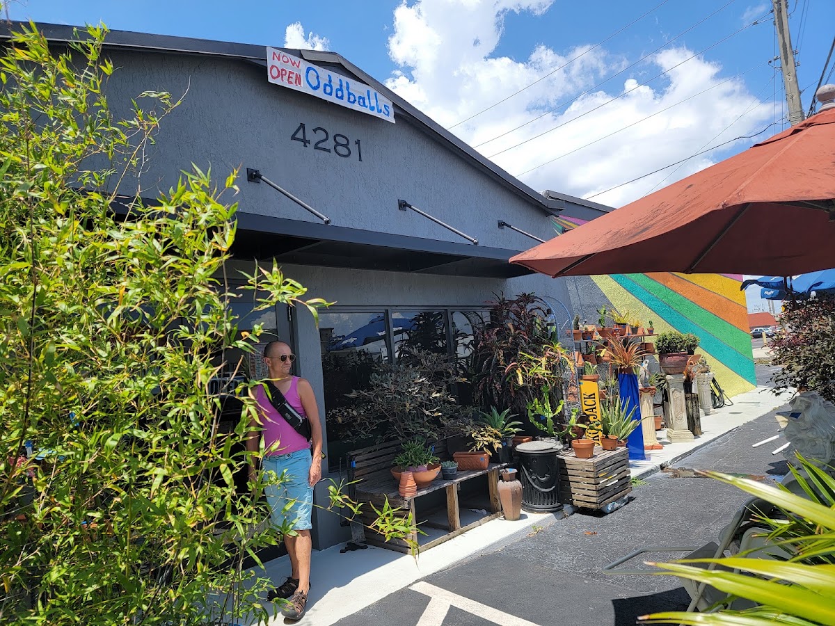 OddBalls Nifty Thrift in Oakland Park