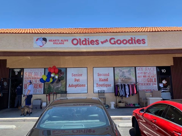 Oldies But Goodies Senior Adoption Center and Second Hand Boutique in Las Vegas