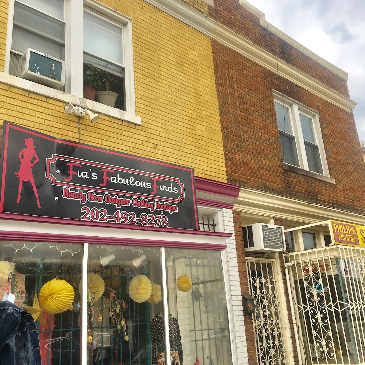 Fia's Fabulous Finds in Washington