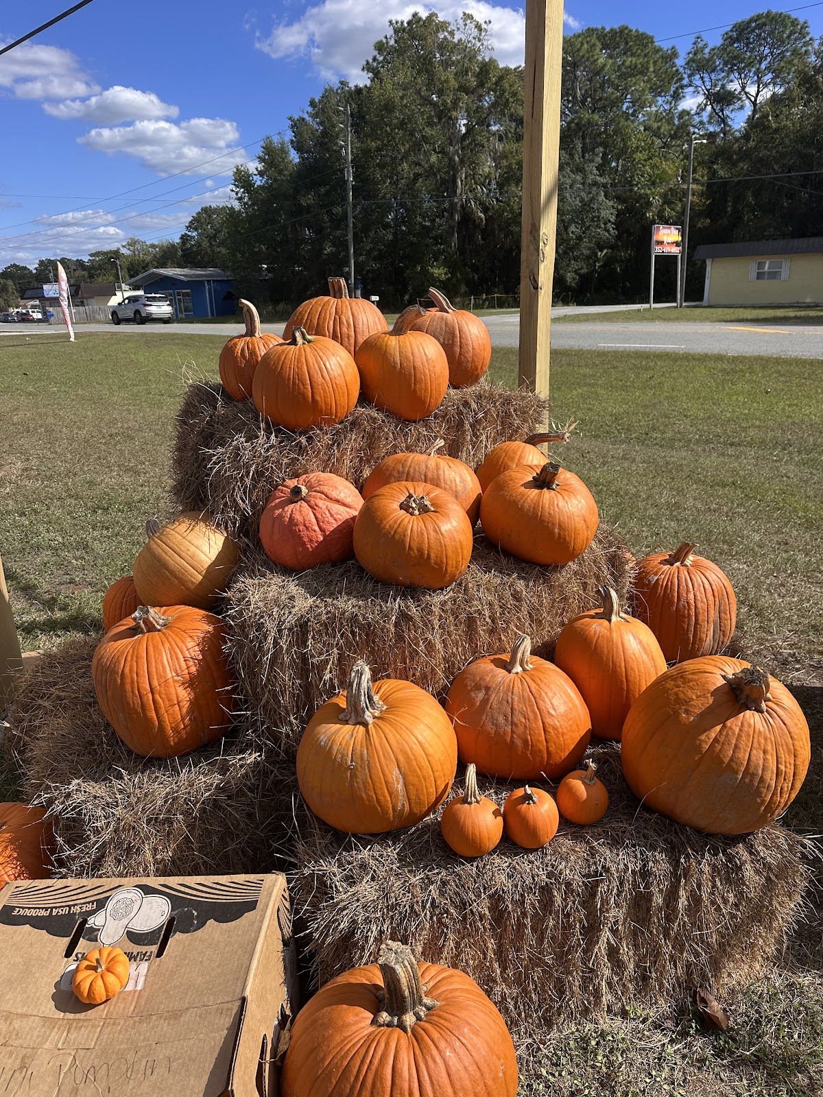 Santuary Mission in Homosassa