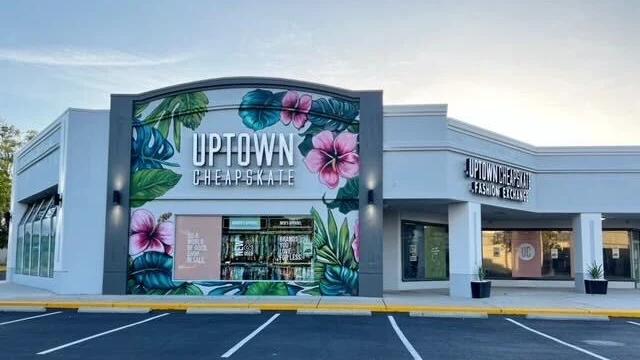 Uptown Cheapskate Palm Harbor in Palm Harbor