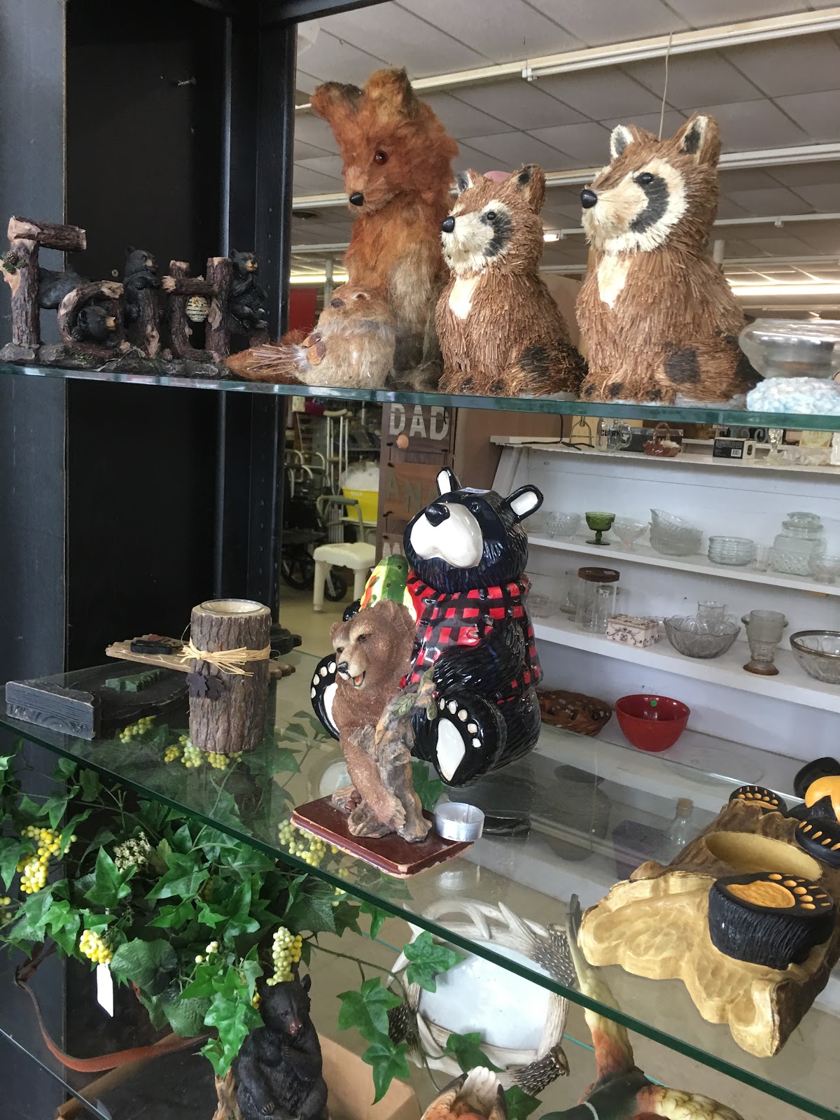 The Treasure Chest Thrift Store LLC in Franklin