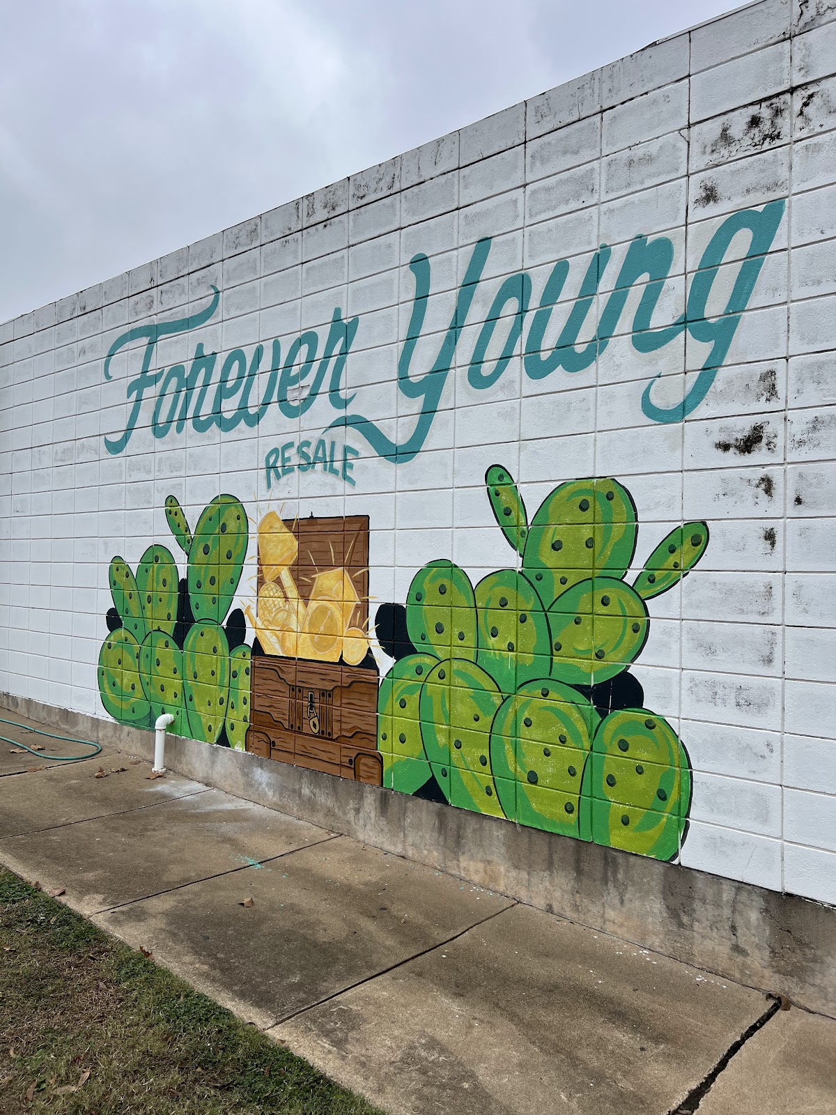 Forever Young Resale Shop in Brenham