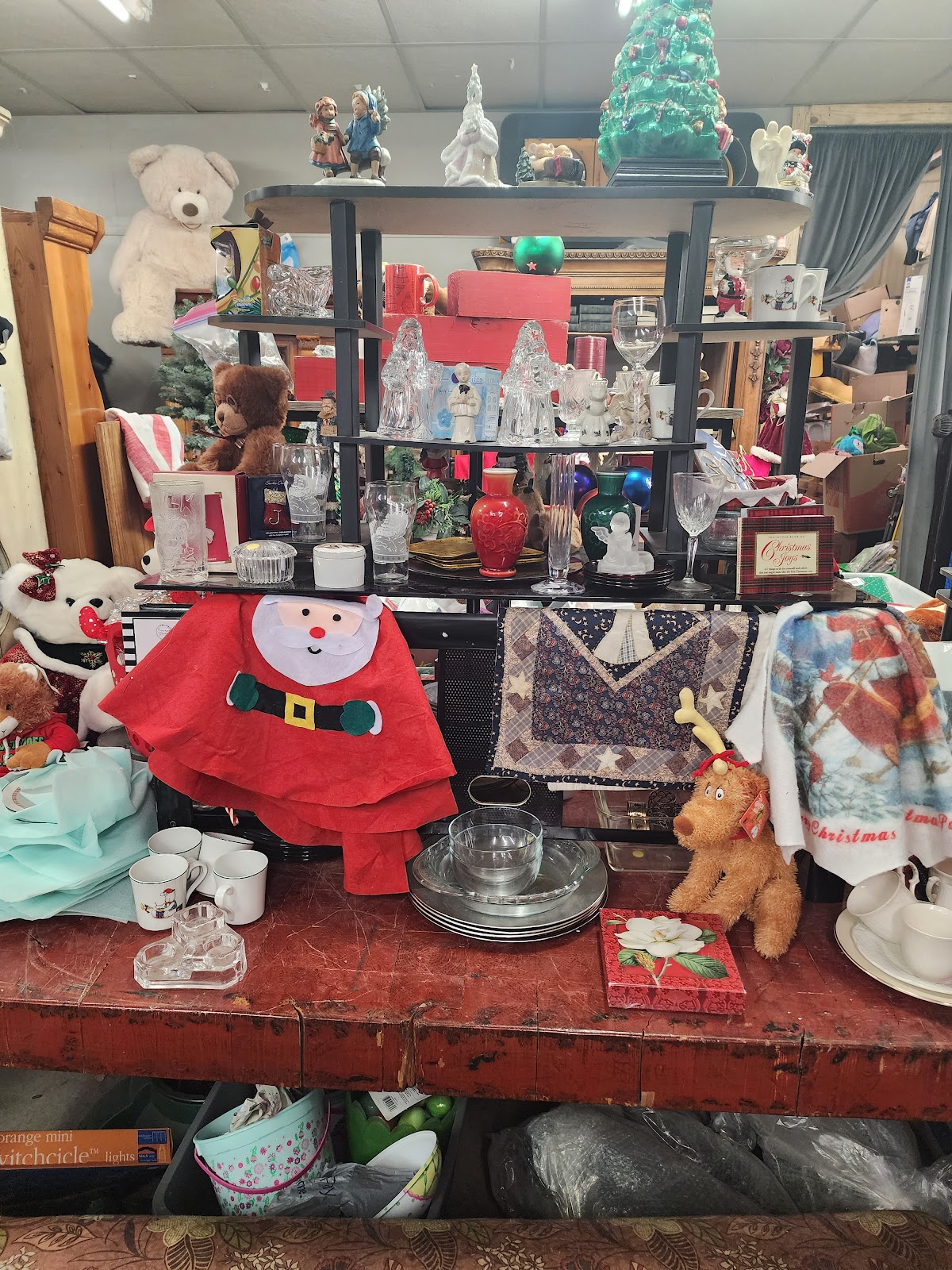 Common Grace thrift and more in Athens