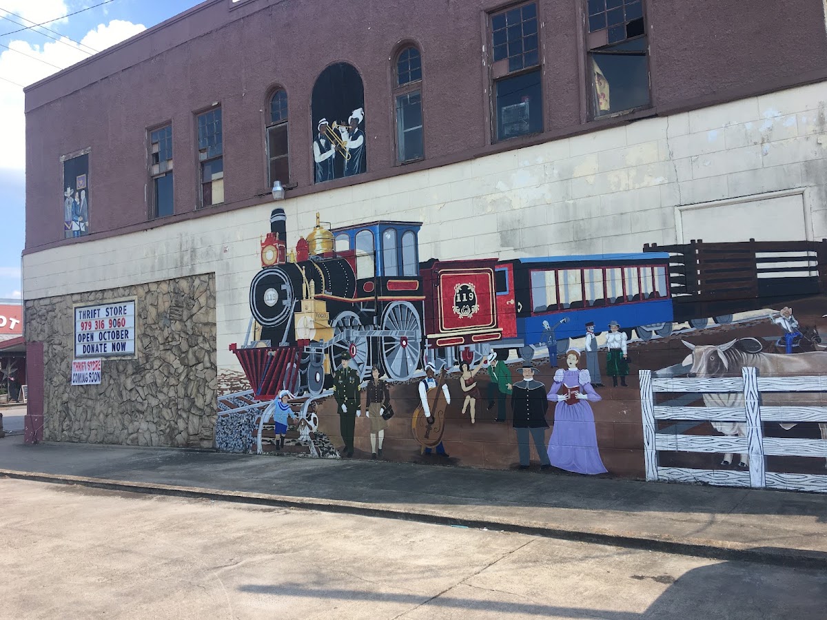 Rips Thrift Store in Brazoria