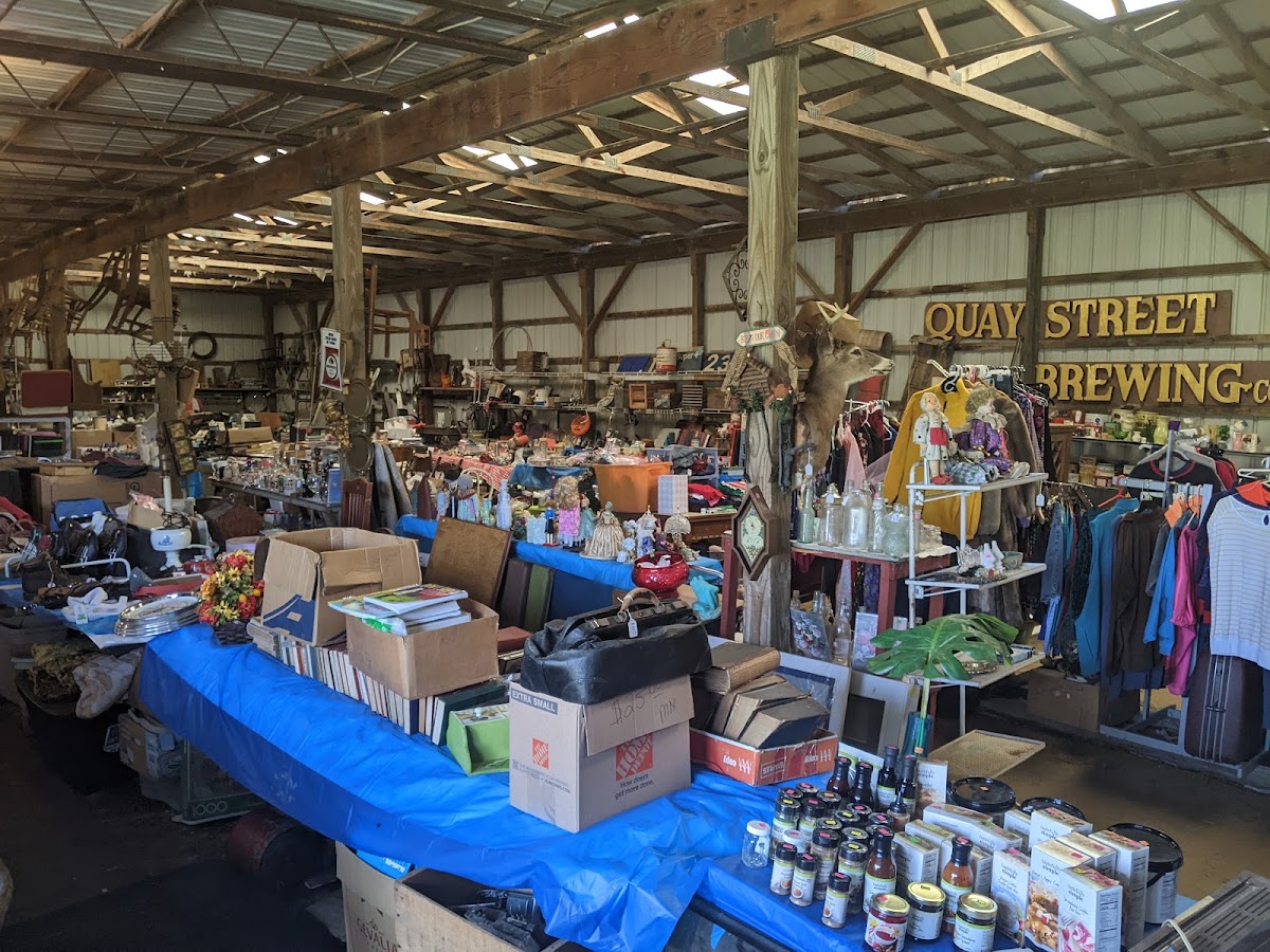 Trash To Treasures in Lexington