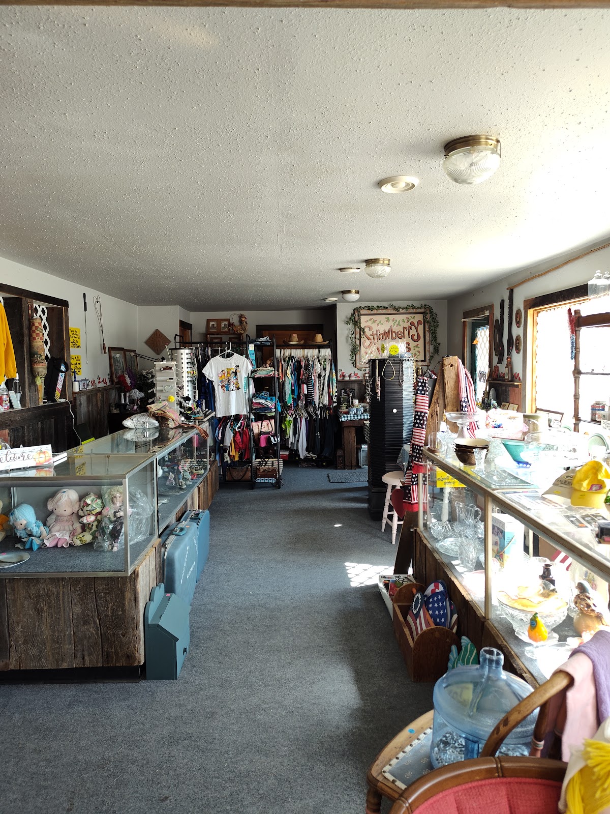 Strawberry Vines llc in Pembine