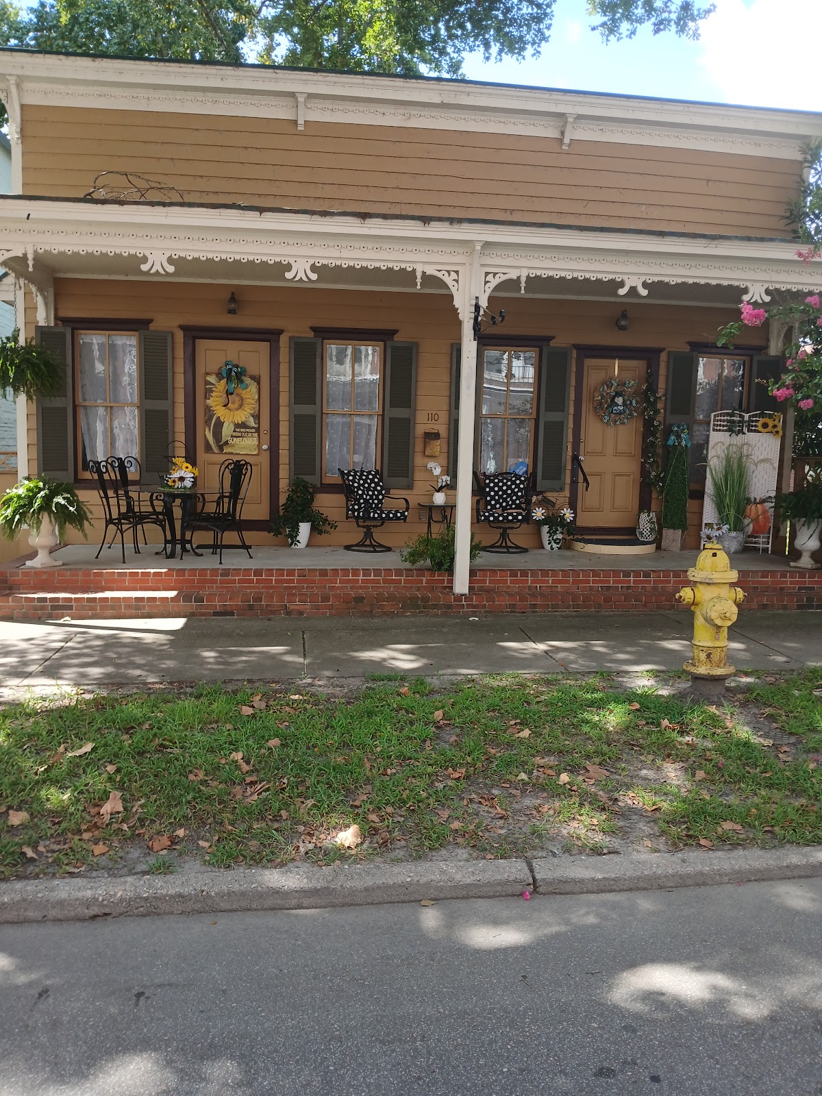 SUNFLOWER in Edenton
