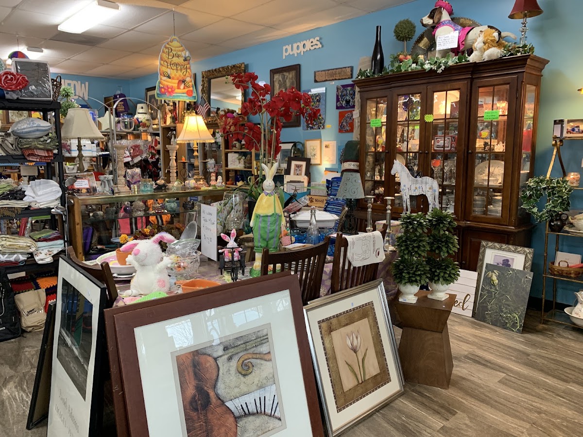 Charlie's Angels Animal Rescue Thrift Store in Fletcher