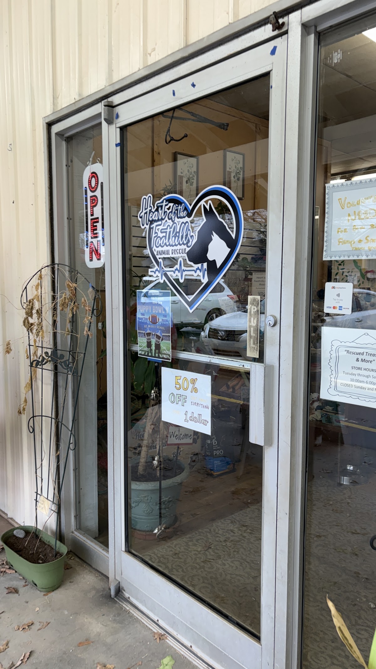 Rescued Treasures And More in Forest City