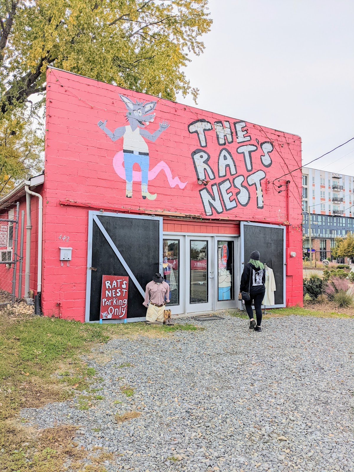 The Rat's Nest in Charlotte
