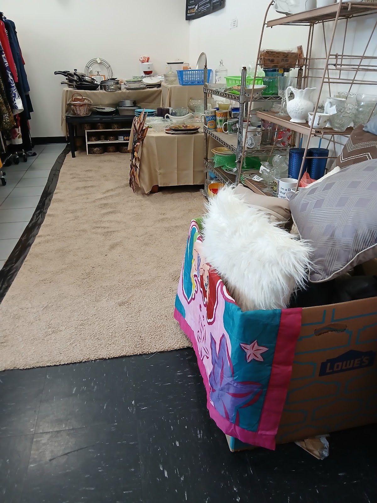 Ashley's Attic Thrift Store in Columbia