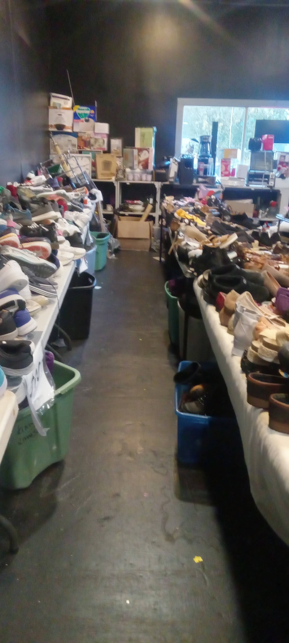 Variedades de Lynn in Lynn