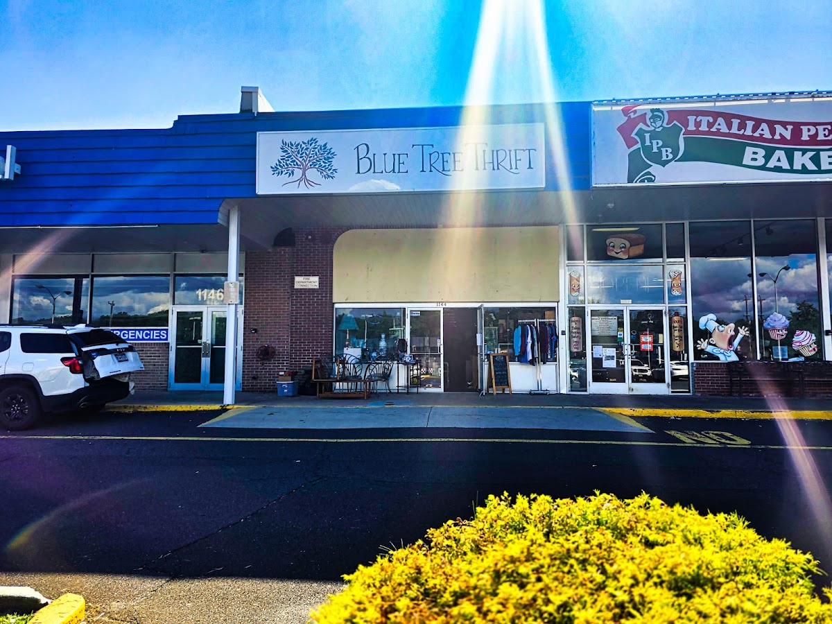 Blue Tree Thrift in Levittown