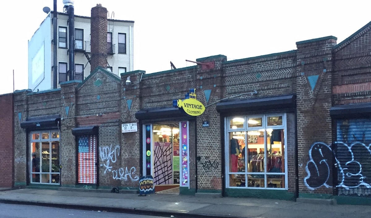 Urban Jungle in Brooklyn