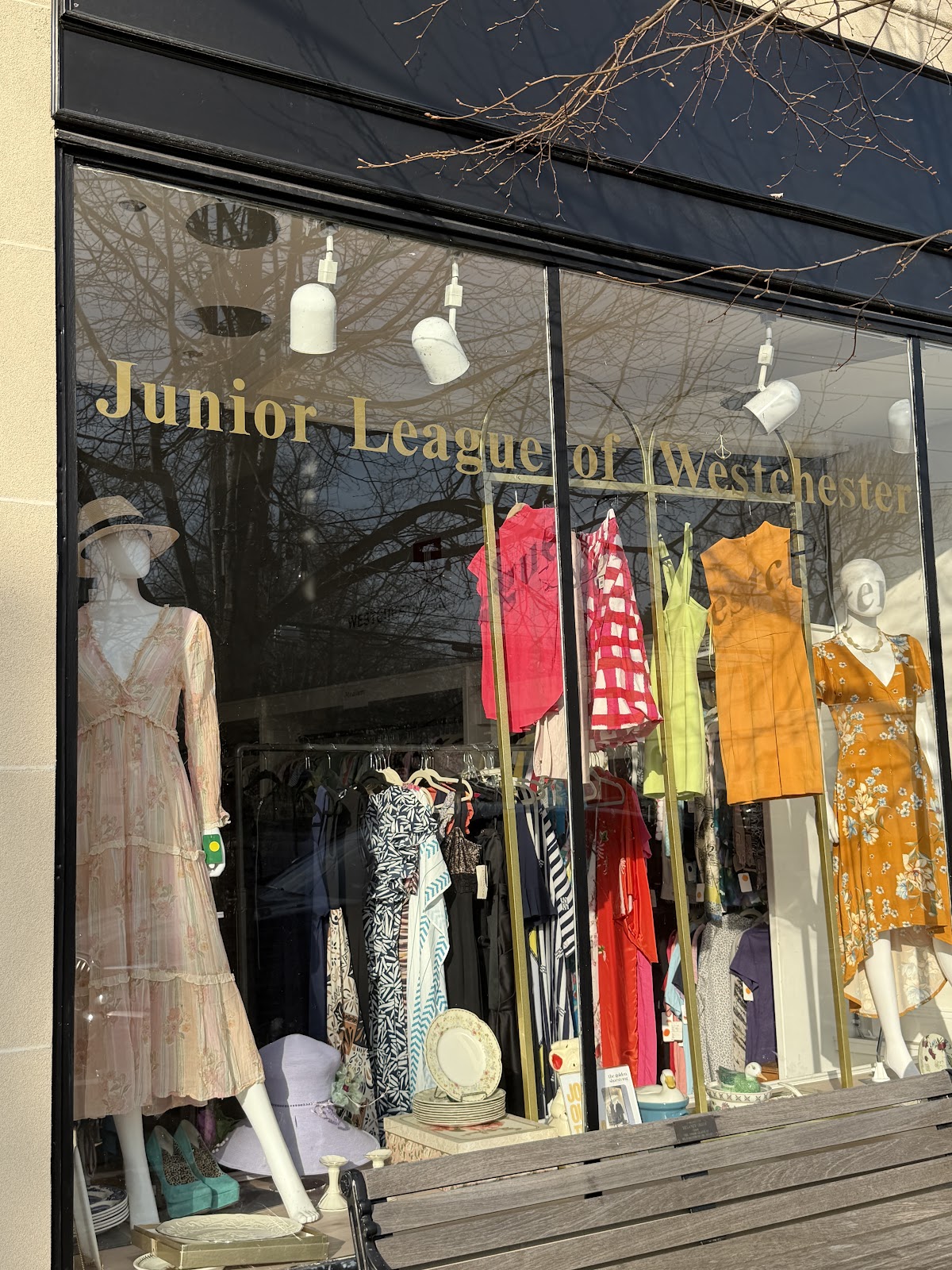 Golden Shoestring in Larchmont