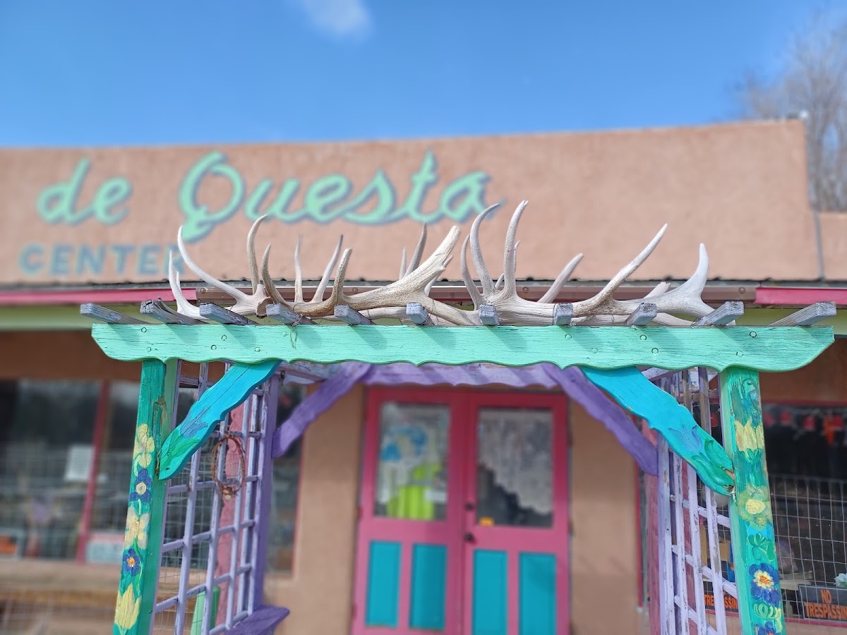 Thrift de Questa in Questa