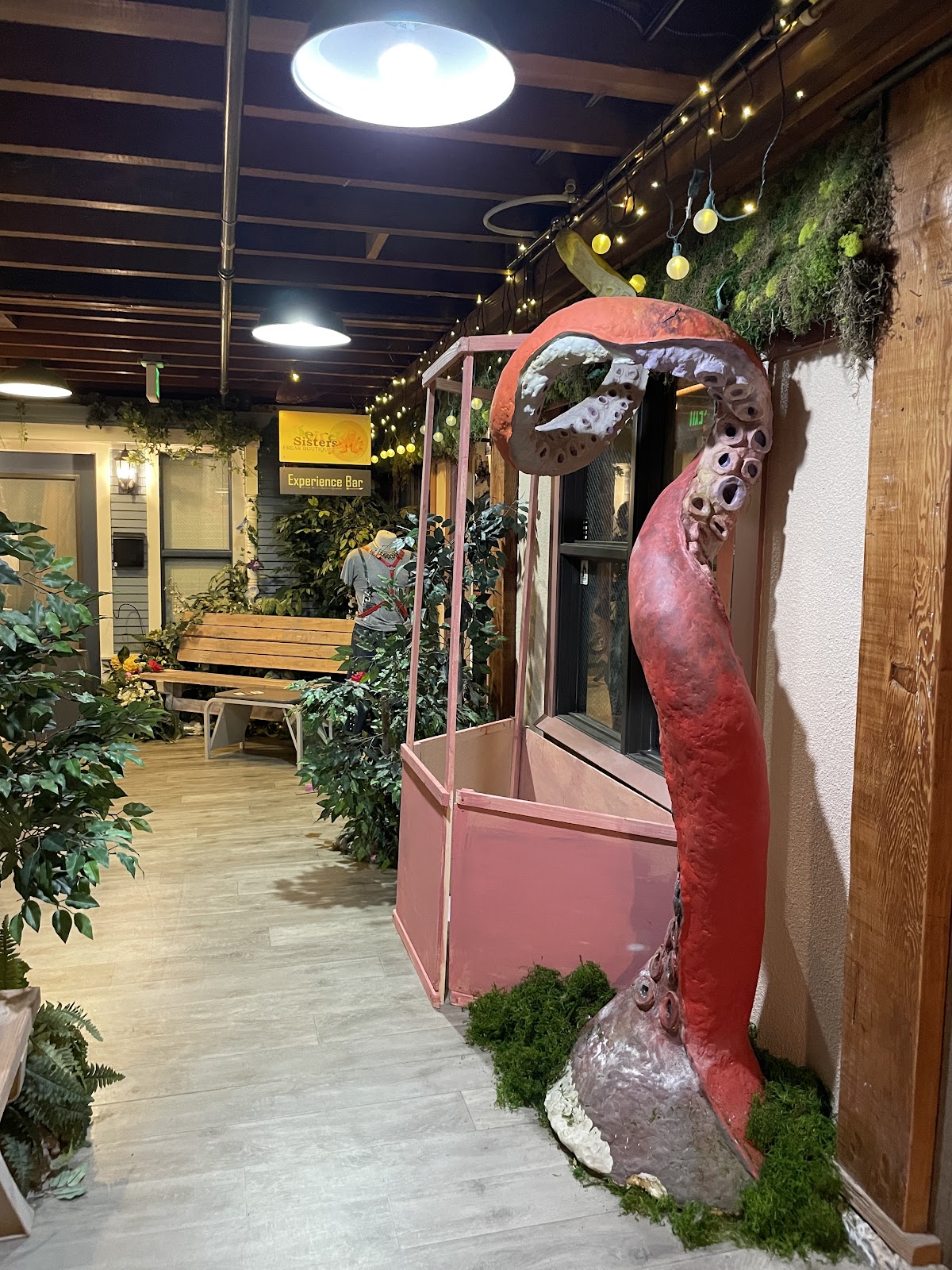 Weird Sisters Freak Boutique in Astoria