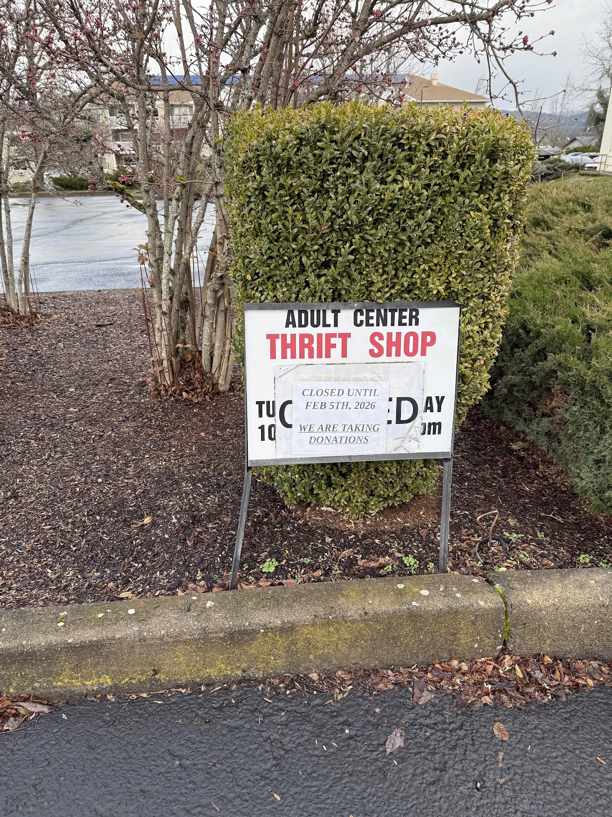 Basement Thrift Store in Hood River