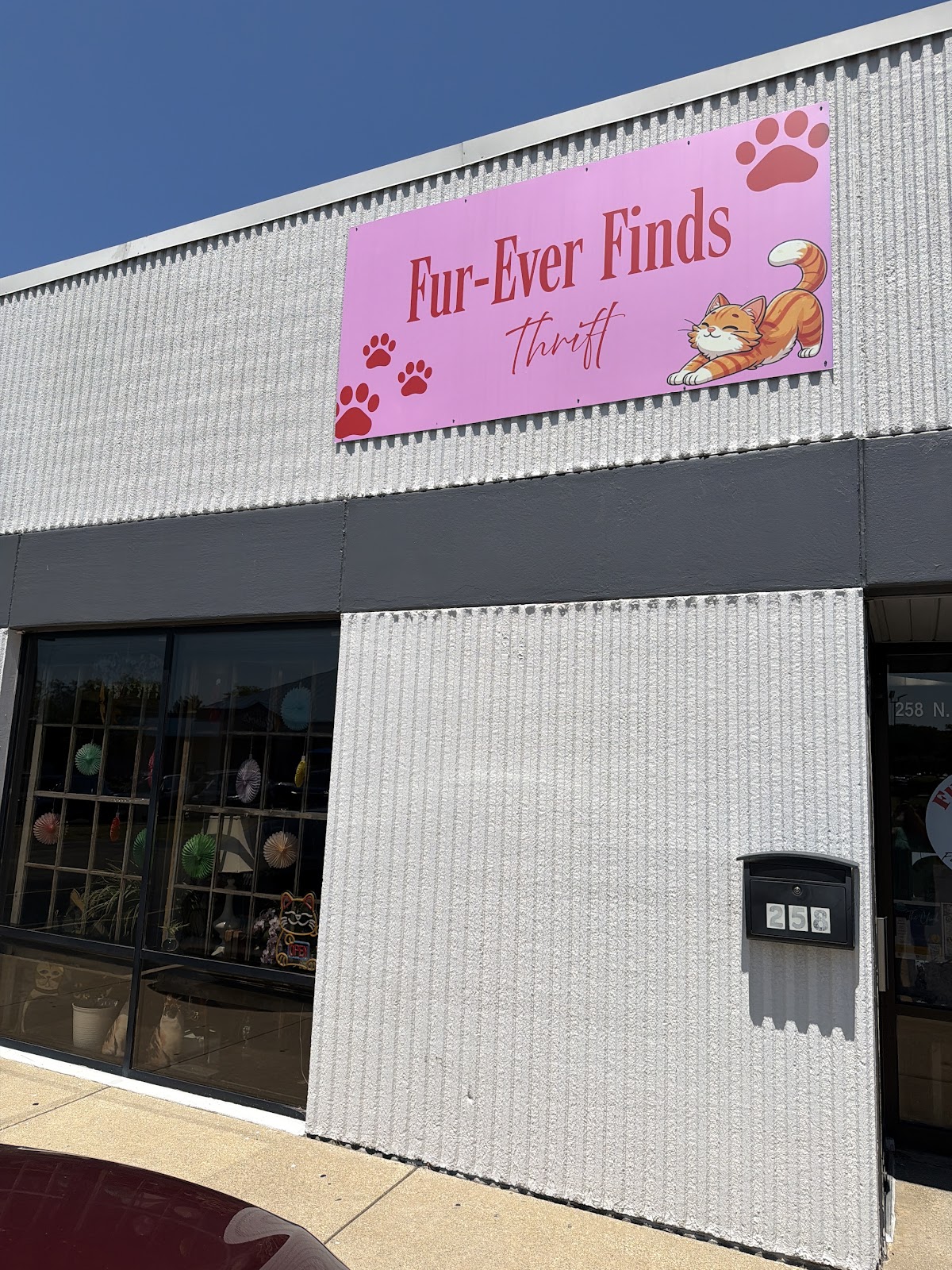 Fur-Ever Finds Thrift in Rockford