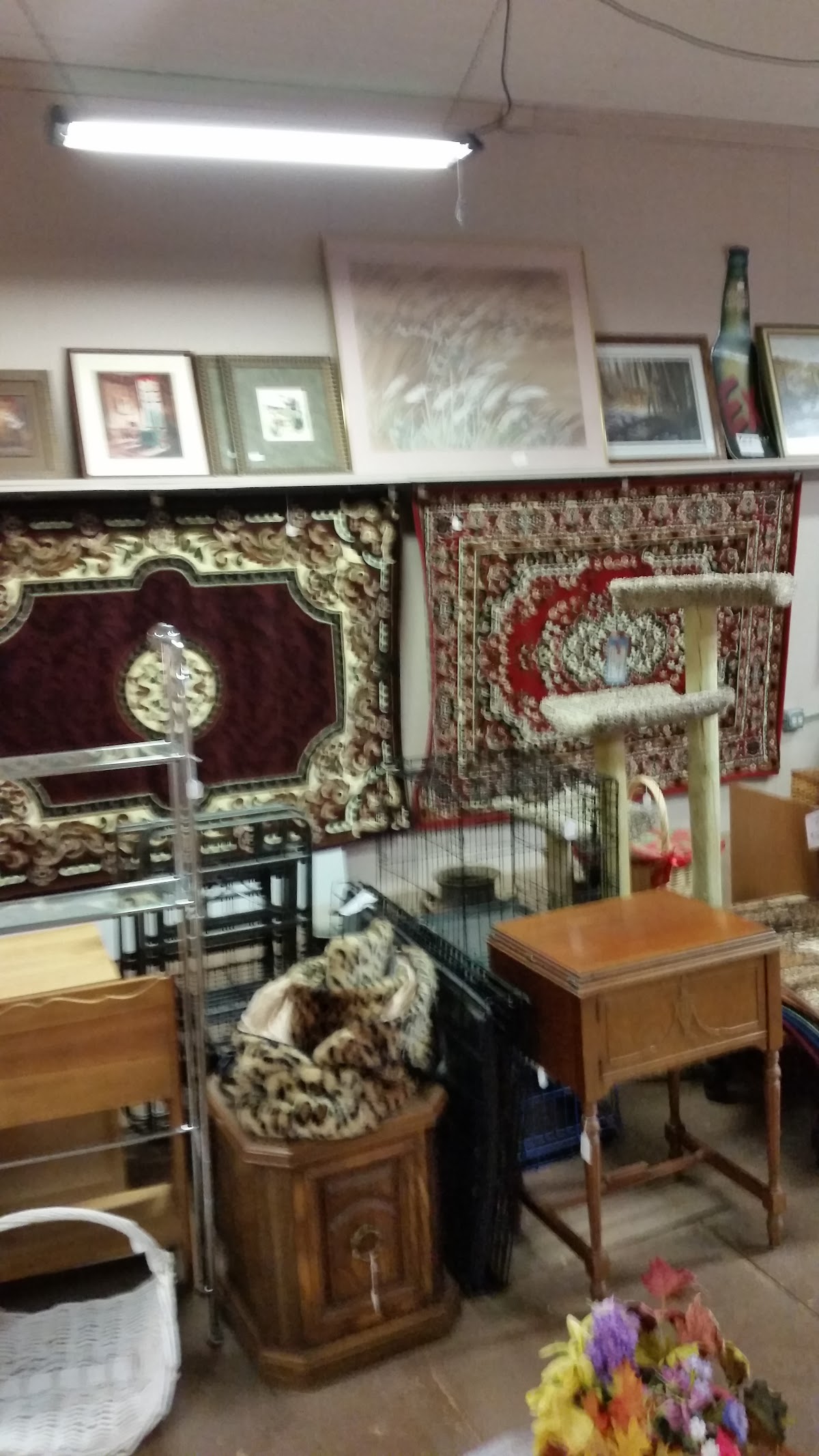 Alden Resale in Harvard