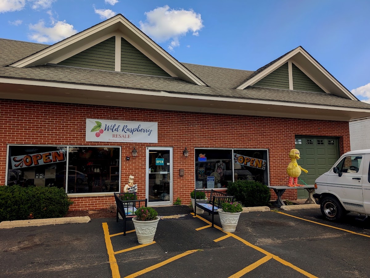 Wild Raspberry Resale in Grayslake