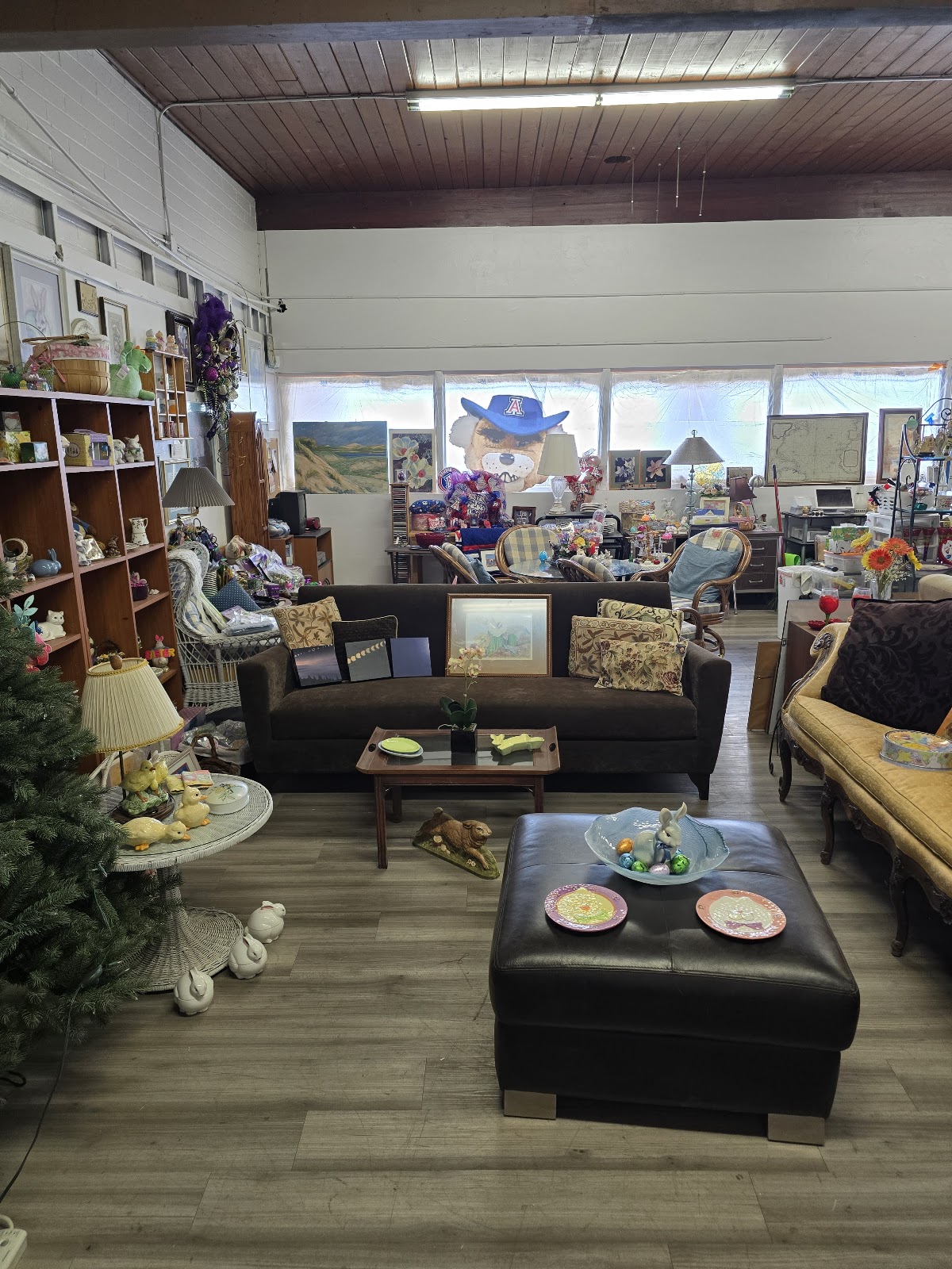 Nifty Thrifty Resale in Tucson