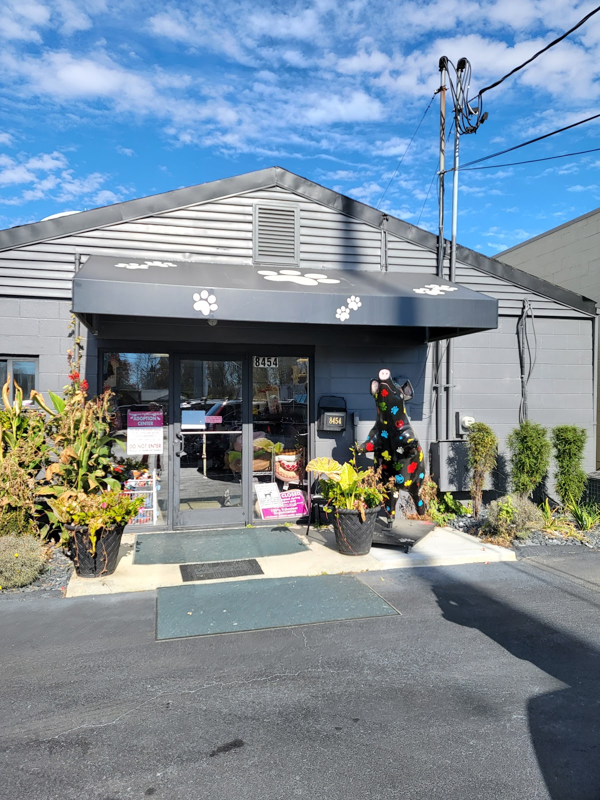 Peppermint Pig Thrift and Gift in Cincinnati