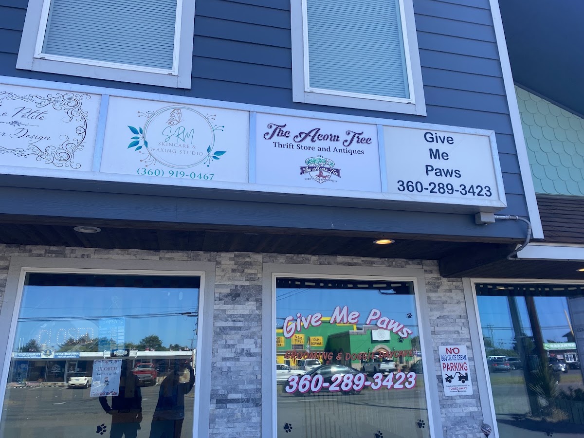 The Acorn Tree in Ocean Shores