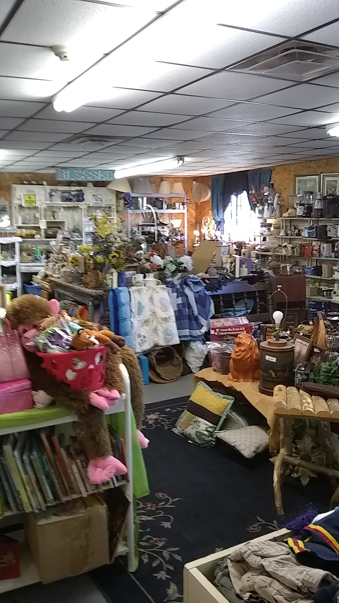 Lotus Thrift in Independence
