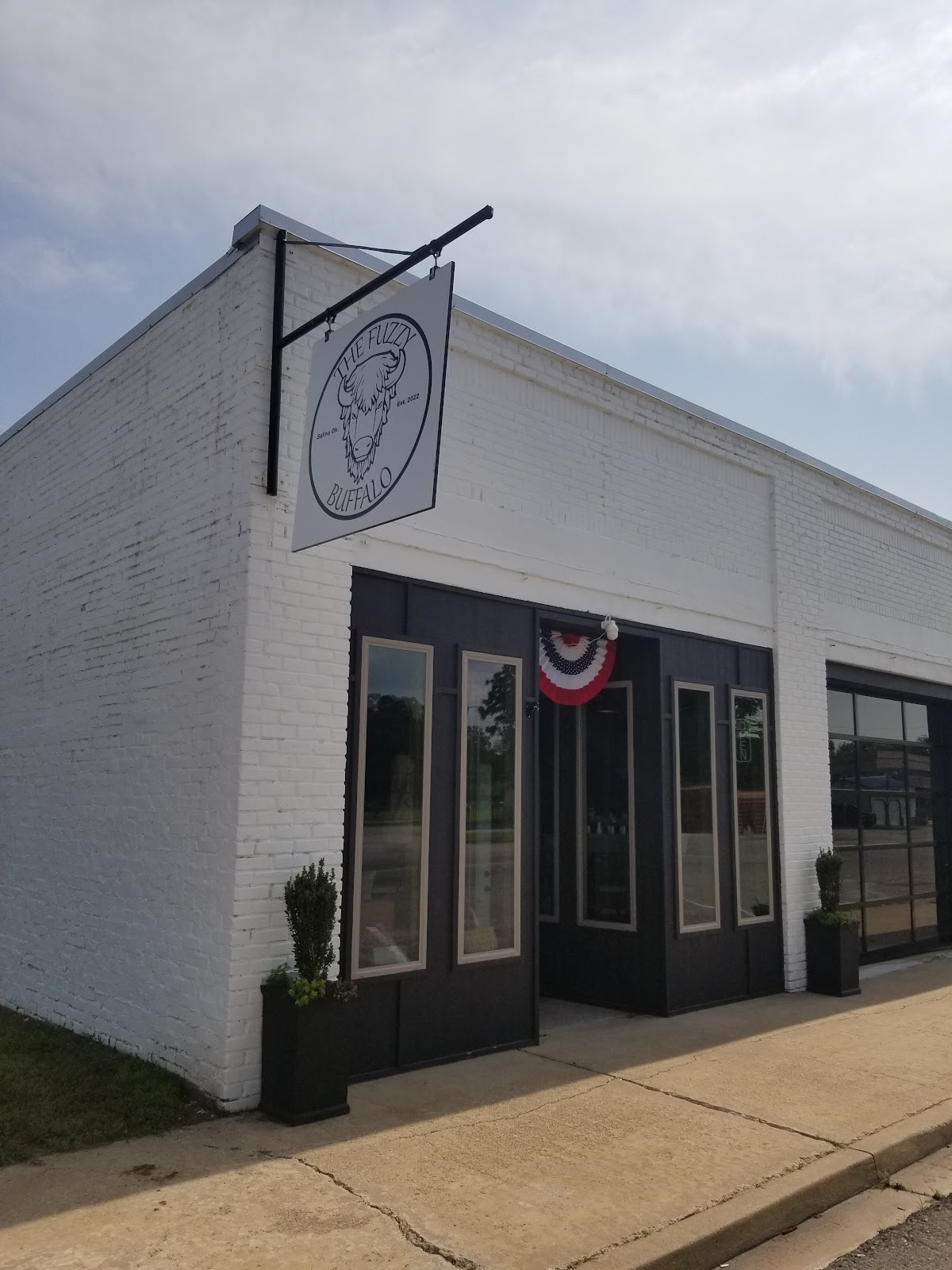 The Fuzzy Buffalo in Salina