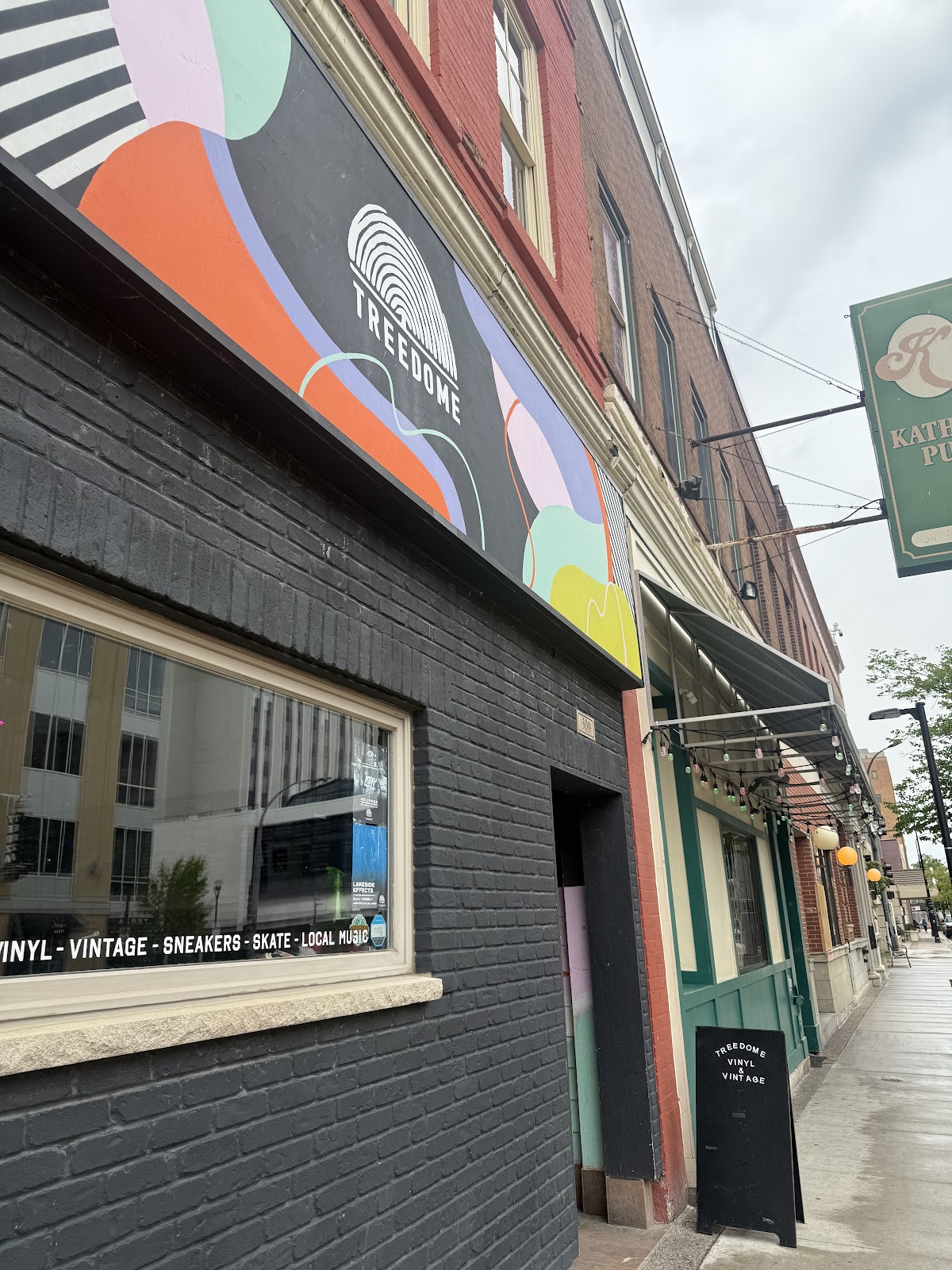 Treedome Vinyl + Vintage in Rochester
