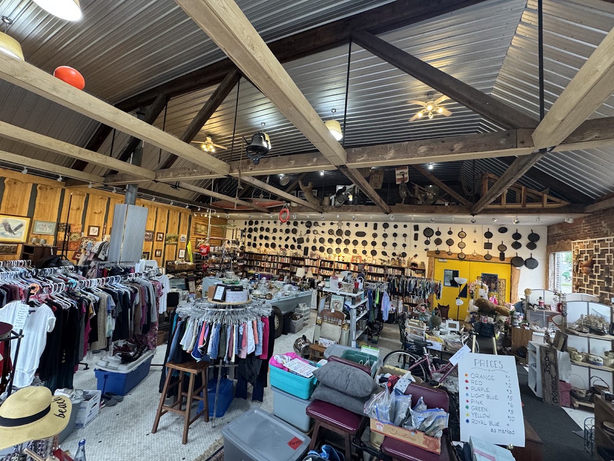 Peyton Place Thrift Co in Hamilton