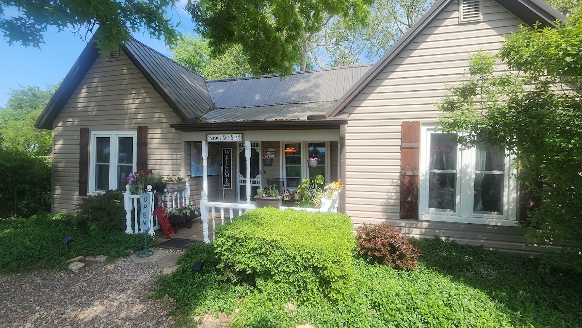 Suzie's She Shed in Hamilton