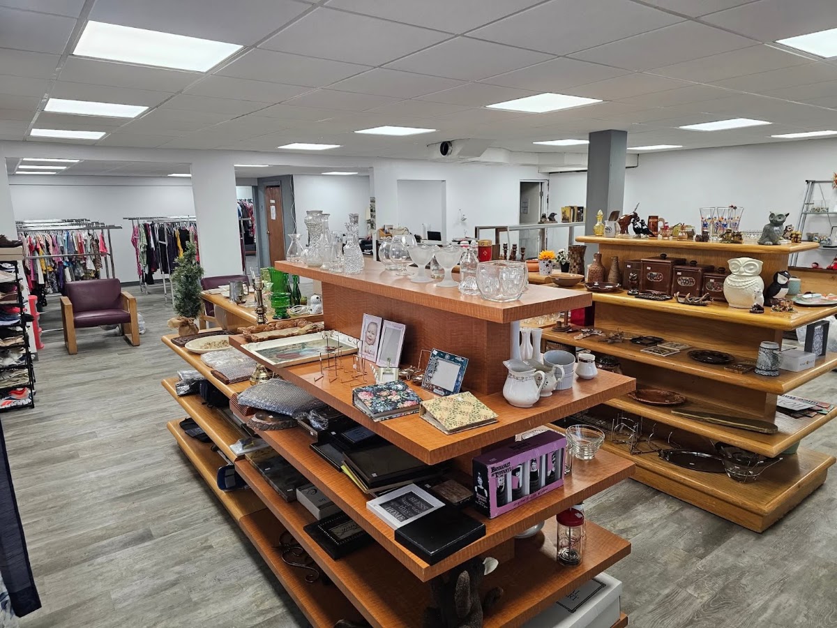 Fostoria Thrift in Fostoria