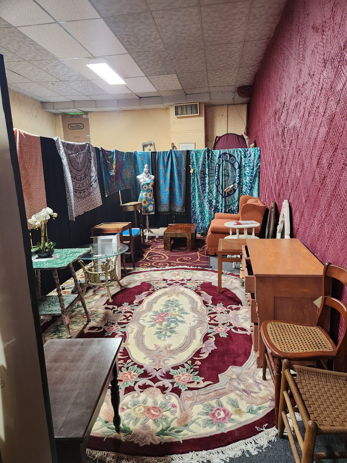 The Thrifty Hippie in Hudson